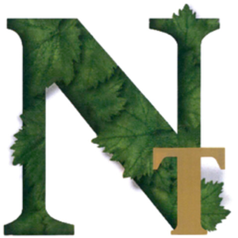 NT Logo (DPMA, 17.06.2021)