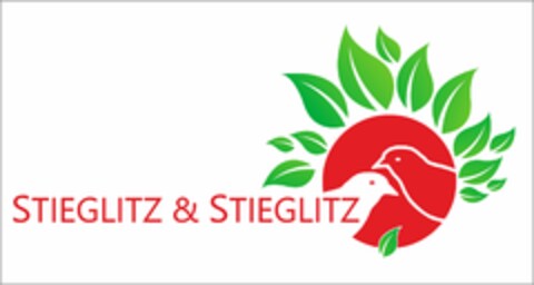 STIEGLITZ & STIEGLITZ Logo (DPMA, 11/28/2022)