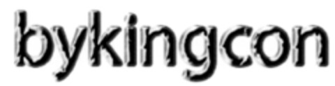 bykingcon Logo (DPMA, 02/04/2010)