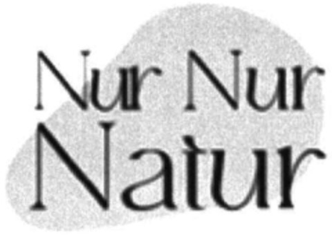 Nur Nur Natur Logo (DPMA, 02.08.2022)