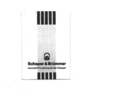 Schaper&Brümmer Logo (DPMA, 10.01.1995)
