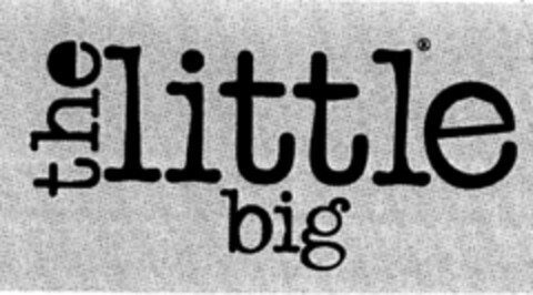 the little big Logo (DPMA, 02.06.1995)