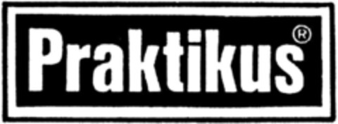 PRAKTIKUS Logo (DPMA, 08/31/1993)