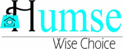 Humse Wise Choice Logo (DPMA, 11/17/2020)