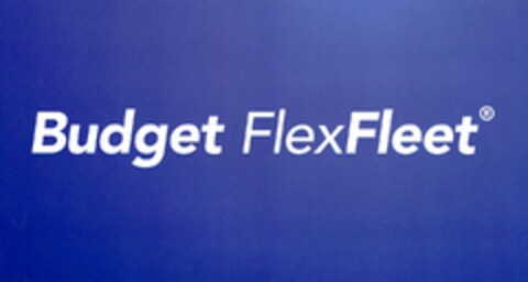 Budget FlexFleet Logo (DPMA, 09.09.2003)