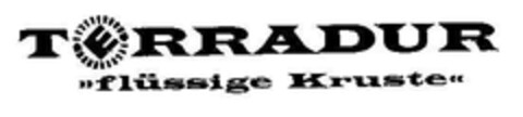 TERRADUR "flüssige Kruste" Logo (DPMA, 07.10.1994)