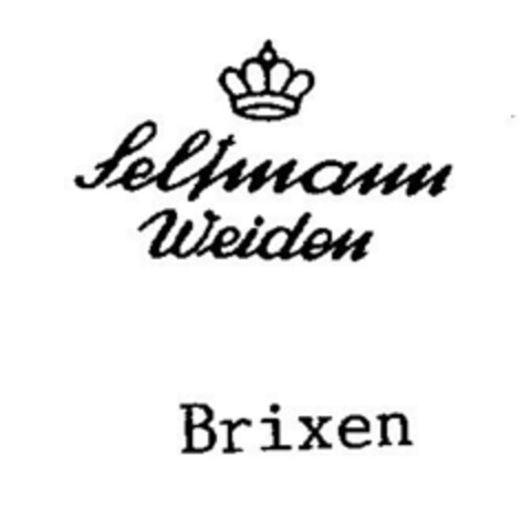 Seltmann Weiden  Brixen Logo (DPMA, 01/27/1995)