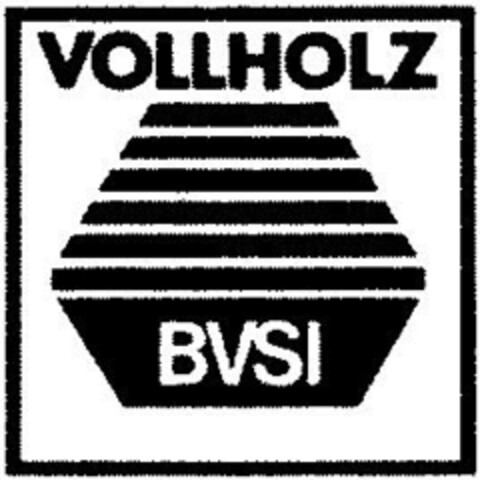 BVSI Logo (DPMA, 28.10.1989)