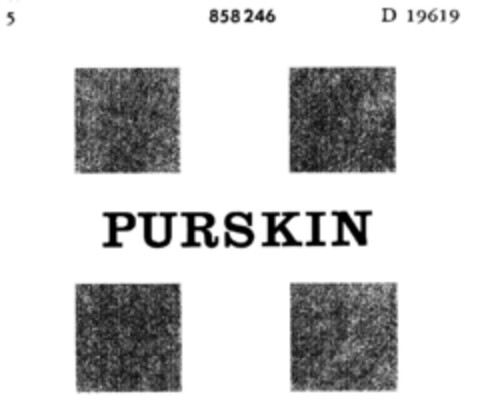 PURSKIN Logo (DPMA, 12.04.1966)