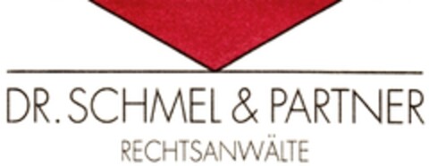 DR. SCHMEL & PARTNER RECHTSANWÄLTE Logo (DPMA, 01/26/1994)