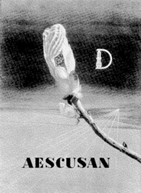 AESCUSAN Logo (DPMA, 06.01.1959)