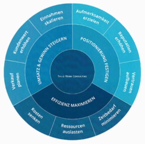 THILO MANN CONSULTING Logo (DPMA, 14.10.2020)