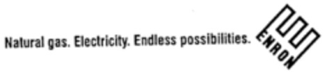 Natural gas. Electricity. Endless possibilities Logo (DPMA, 07/25/1997)