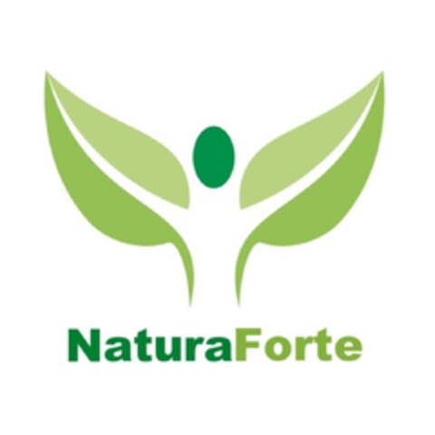 NaturaForte Logo (DPMA, 05.09.2013)