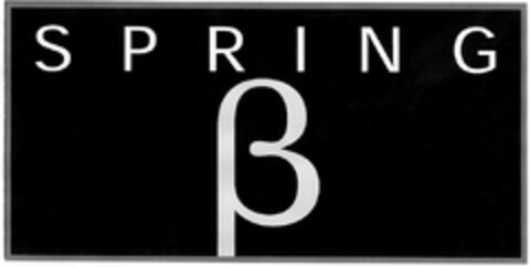 SPRING β Logo (DPMA, 03.05.2004)