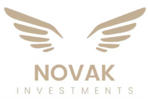 NOVAK INVESTMENTS Logo (DPMA, 25.07.2024)