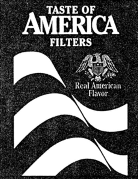 TASTE OF AMERICA FILTERS Logo (DPMA, 11/02/1992)