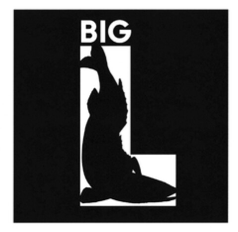 BIG Logo (DPMA, 12.02.2016)