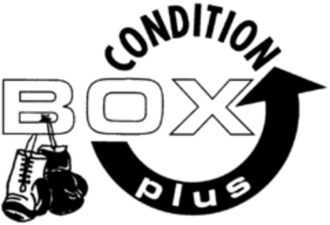 BOX CONDITION plus Logo (DPMA, 12/13/1996)