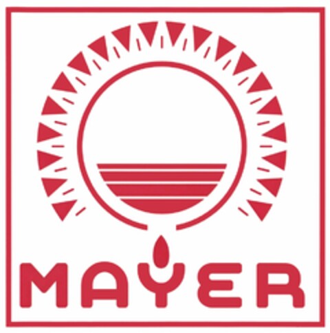 MAYER Logo (DPMA, 12/06/2017)