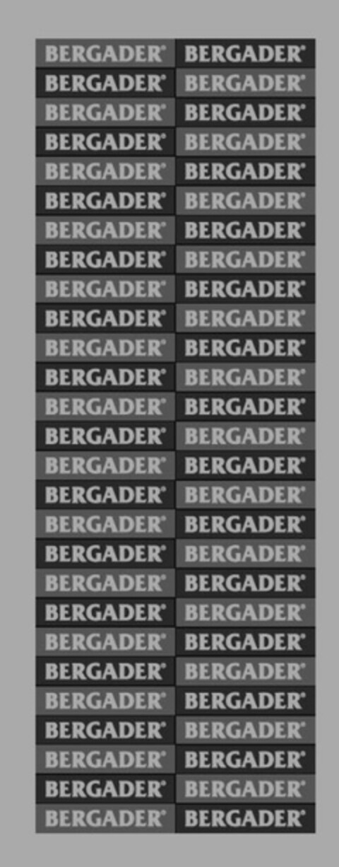 BERGADER Logo (DPMA, 09.04.2013)