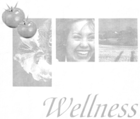 Wellness Logo (DPMA, 13.12.2007)