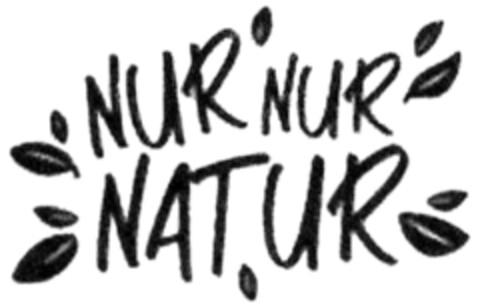 NUR NUR NATUR Logo (DPMA, 08/02/2022)