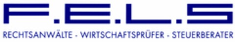 F.E.L.S RECHTSANWÄLTE - WIRTSCHAFTSPRÜFER - STEUERBERATER Logo (DPMA, 01/12/2006)