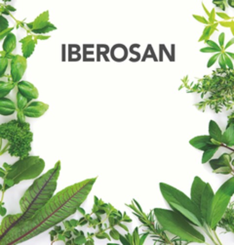 IBEROSAN Logo (DPMA, 12.05.2023)