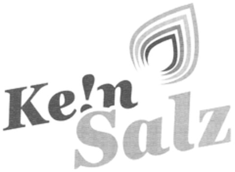 Ke!n Salz Logo (DPMA, 16.02.2024)