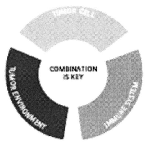 COMBINATION IS KEY Logo (DPMA, 26.07.2007)