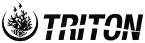 TRITON Logo (DPMA, 07/30/2009)