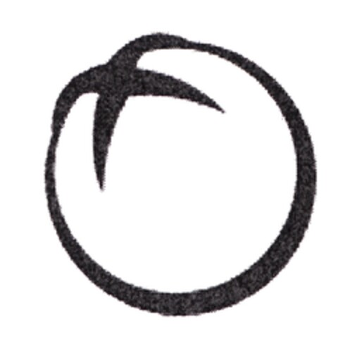 302010044869 Logo (DPMA, 07/27/2010)