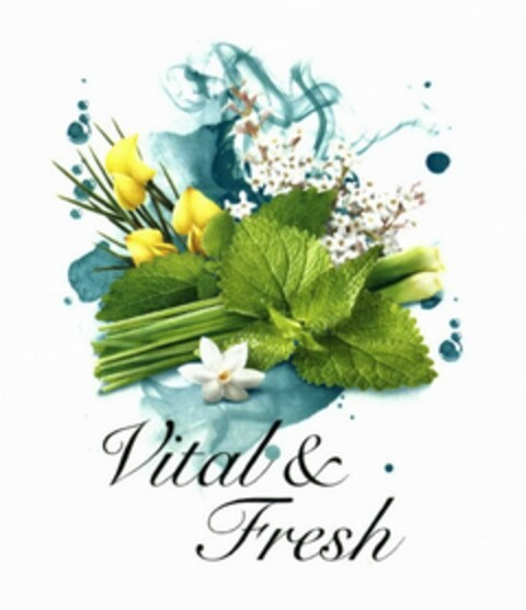 Vital & Fresh Logo (DPMA, 14.12.2016)