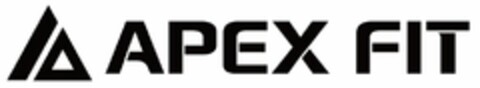 APEX FIT Logo (DPMA, 29.08.2023)