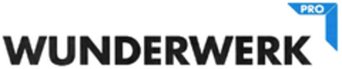 WUNDERWERK PRO Logo (DPMA, 29.02.2024)