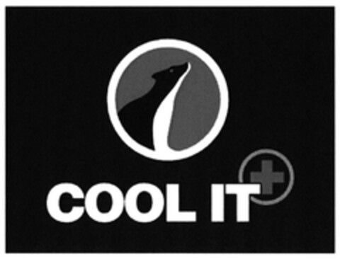 COOL IT Logo (DPMA, 19.05.2016)