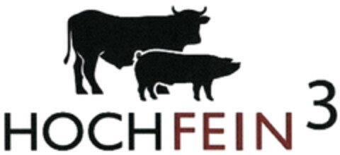 HOCHFEIN 3 Logo (DPMA, 12/08/2021)