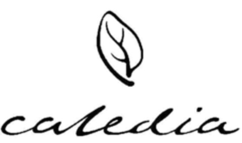 caledia Logo (DPMA, 21.08.2023)
