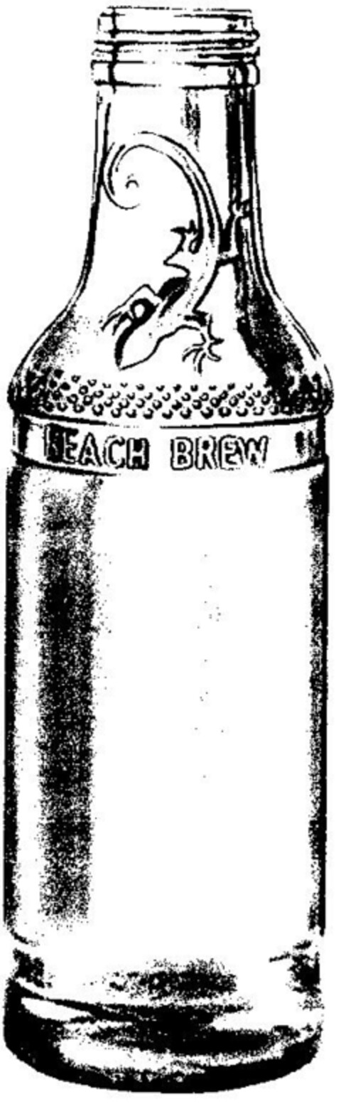 BEACH BREW Logo (DPMA, 03.01.1996)