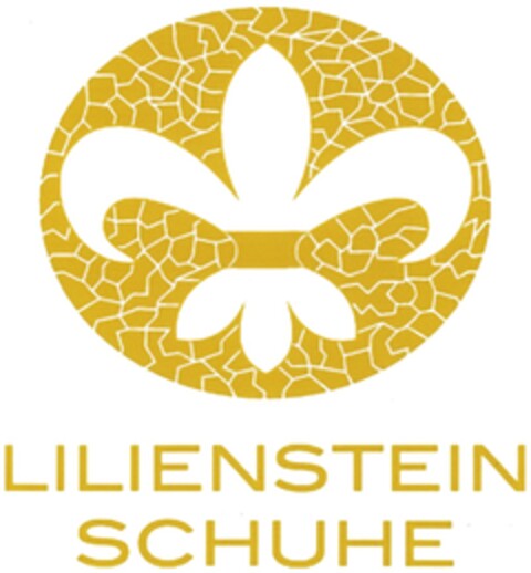 LILIENSTEIN SCHUHE Logo (DPMA, 17.11.2010)