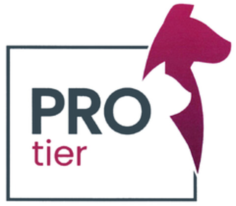 PRO tier Logo (DPMA, 24.05.2019)