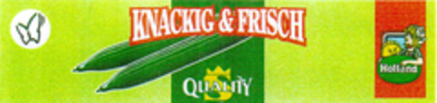 KNACKIG & FRISCH QUALITY Logo (DPMA, 02/01/1995)