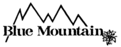 Blue Mountain Logo (DPMA, 10/17/1995)