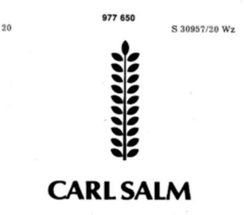 CARL SALM Logo (DPMA, 26.05.1977)