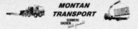 MONTAN TRANSPORT Logo (DPMA, 21.01.2000)