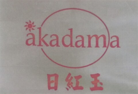 akadama Logo (DPMA, 15.07.2013)