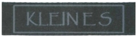 KLEIN E S Logo (DPMA, 07.06.2017)