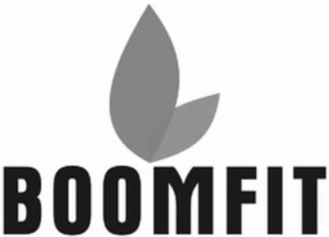 BOOMFIT Logo (DPMA, 18.07.2019)