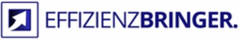 EFFIZIENZBRINGER. Logo (DPMA, 05/31/2023)